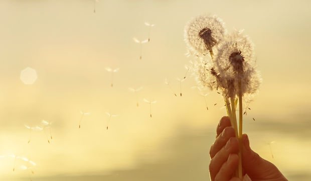 Daha kolay öğrenmenin formülü: Nefes almak