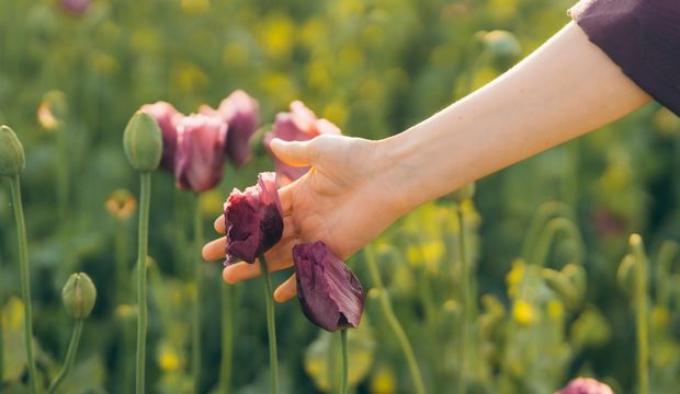 Sağlıklı bir yaşam tarzı oluşturmak için...