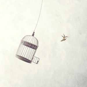 Özgürlük dediğimiz