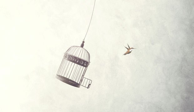 Özgürlük dediğimiz