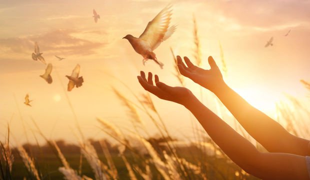 "Affetmek" diye mucize bir şey var...