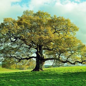 Yaşamımızda tesadüf olmaz