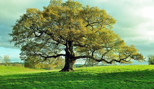 Yaşamımızda tesadüf olmaz