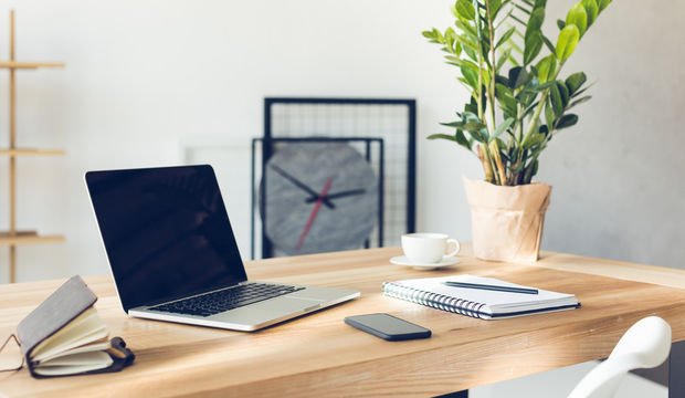 Ofislerde canlı bitki bulundurmanın 5 faydası