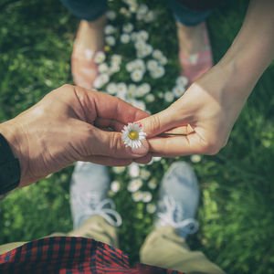 Akıl karışınca…