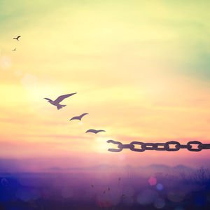 Çaresizsen çare sensin