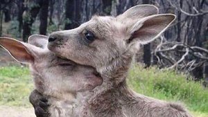 Dünyada dengeler değişirken ateşi dinlemek gerek 