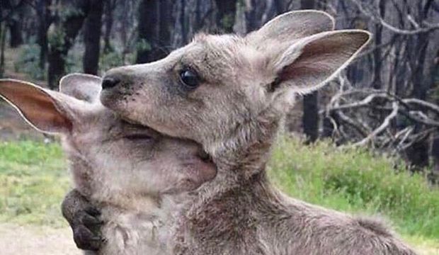 Dünyada dengeler değişirken