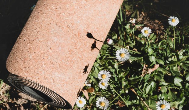 Yoga çeşitleri nelerdir?