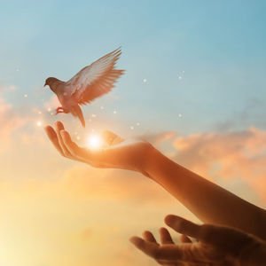 Dualarına cevap mı bekliyorsun?