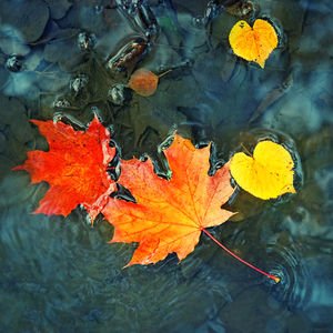 Tecrübelerden sonra hayat...