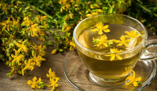 sarı kantaron çayının faydaları