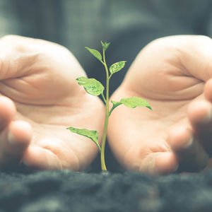 Ruhsal iyileşme için travmaya duyarlı yoga