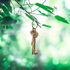 Kendine sığındın mı?