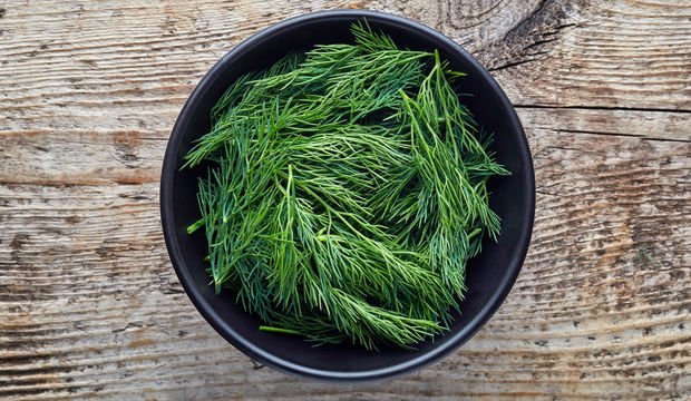 Dereotu nedir? Dereotunun faydaları nelerdir?