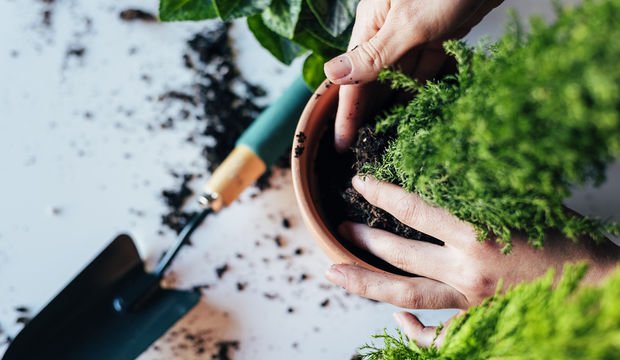 Toprakla uğraşmanın antidepresan etkisi kanıtlandı