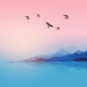 Kırlangıçlar gibi