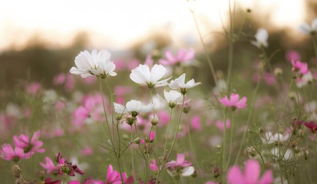 Umut veren 20 şarkı