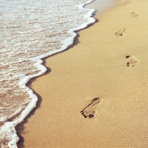 Yarına kim kalacak?