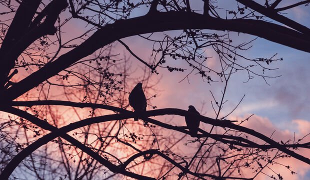 Mutsuz çiftler neden ayrılmazlar?