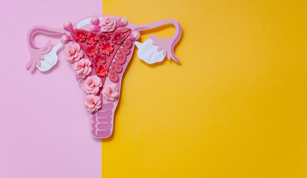 Yumurta hücresi nasıl olur?