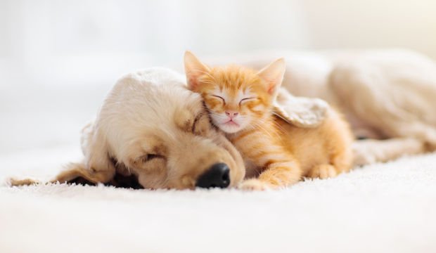 Uyku ritminize önem verin!