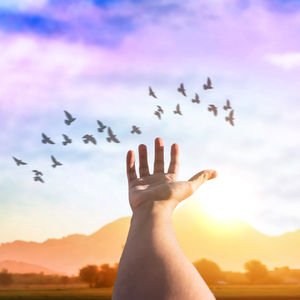 Bugün öğrendim...