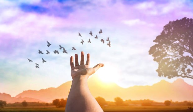 Bugün öğrendim...