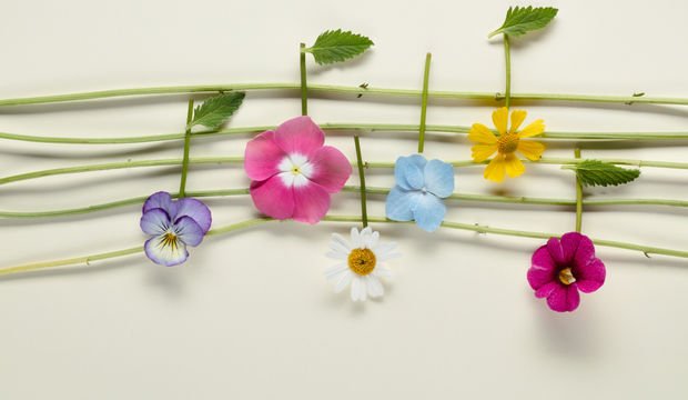 En iyi müzik yapma uygulamaları