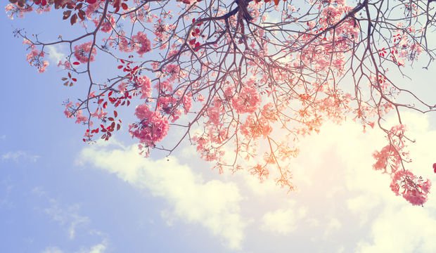 Hıdırellez: Bereketin şifanın ve niyetlerin orucu