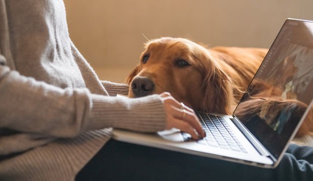 "Başladığım işi yarım bırakıyorum" diyorsanız birkaç önerimiz var