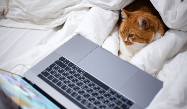 Yalnız kalabilmek için odaya kapanıyorum