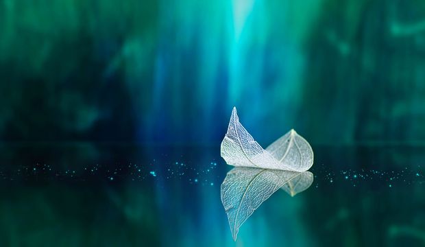 Toplumsal rollerimiz içindeki "biz"