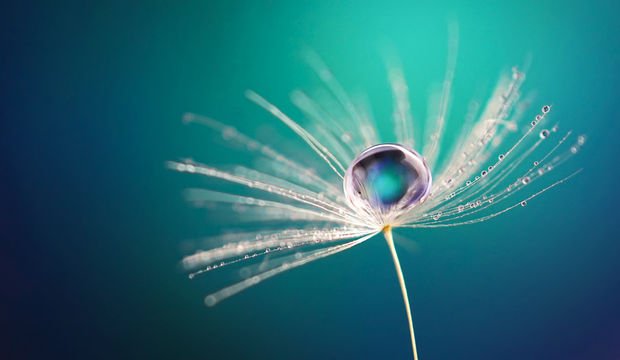 İçimizdeki gücü keşfetmek...