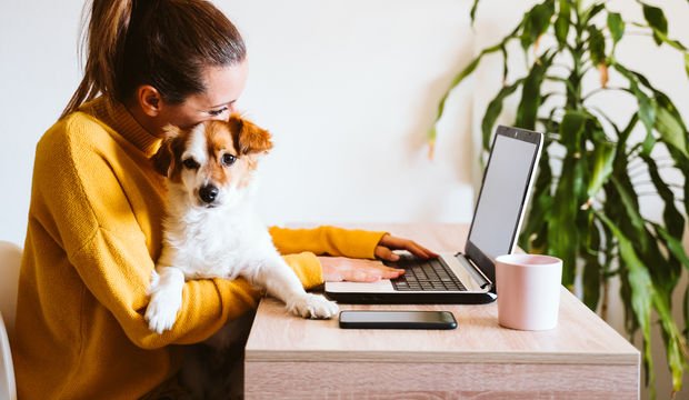 Tüm gün oturmanın zararlı etkilerine karşı 4 saniye egzersiz yeterli