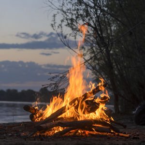 Farkındalığın içinde büyüleniş