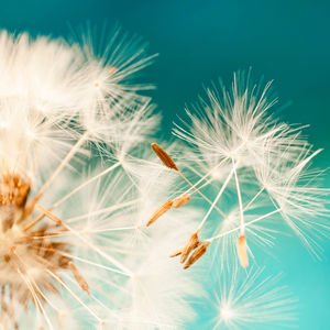 Ya kırdığımız kalbi Allah seviyorsa!