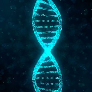 Embriyo kromozomundaki saklı bilgi