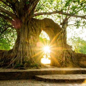 Derin bir yara iziniz varsa, o bir kapıdır...