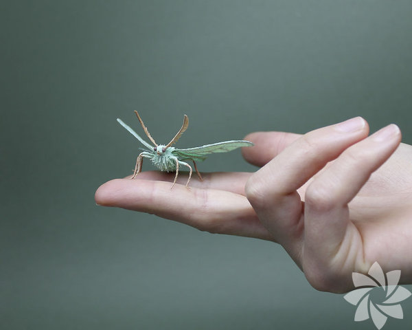 Kağıttan hayvanlara... | Yaşam