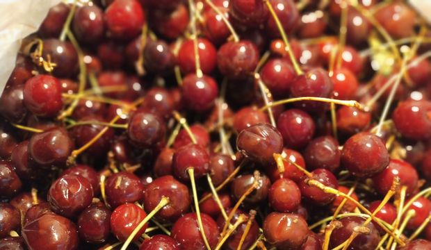 Güneşte 40 gün pişen vişne şurubu