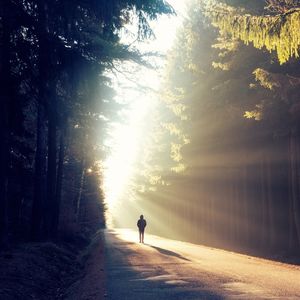 Gölge ve ışığın dansı