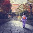Dünya mutfakları: Sanat eserlerinin mutfak hali Japon mutfağı