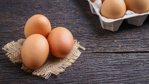 Yiyecek atıkları nasıl değerlendirilir?