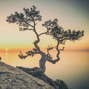 Hayata kafa tutmak kabullenmekle başlar 