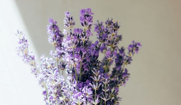 Aileyle mutlu olmamak