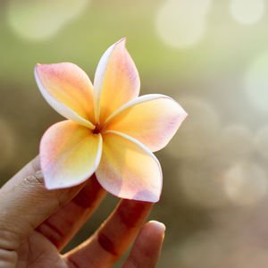 Karşılık beklemeyiniz, yapınız...