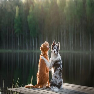 Arkadaşlığınızın bittiğini gösteren 4 işaret