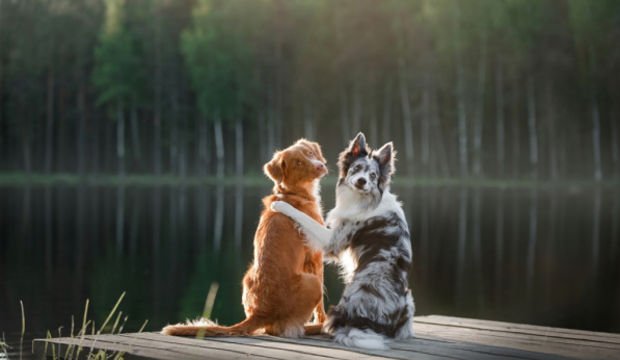 Arkadaşlığınızın bittiğini gösteren 4 işaret