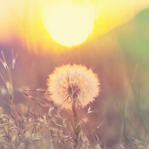 Yolculuğun kendisidir hayat